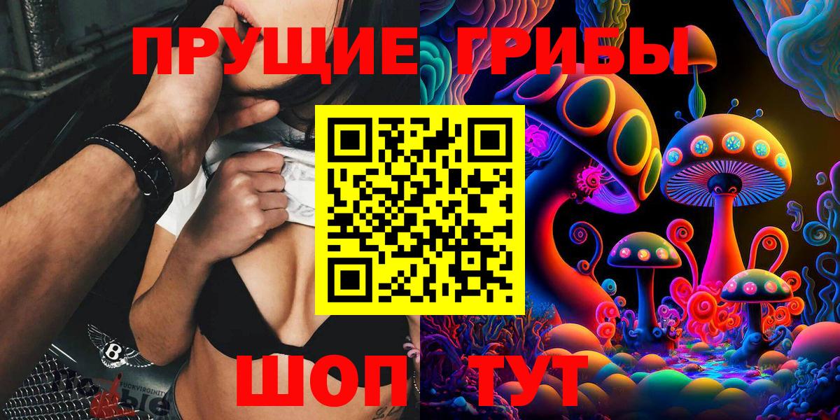 Кострома  Псилоцибиновые грибы Psilocybe  Вход с VPN 