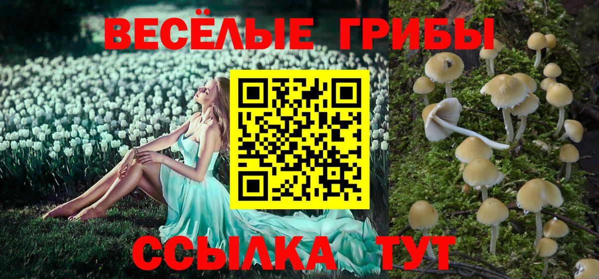 Галлюциногенные грибы мухоморы Кострома